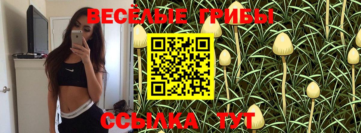 Галлюциногенные грибы Cubensis Саранск