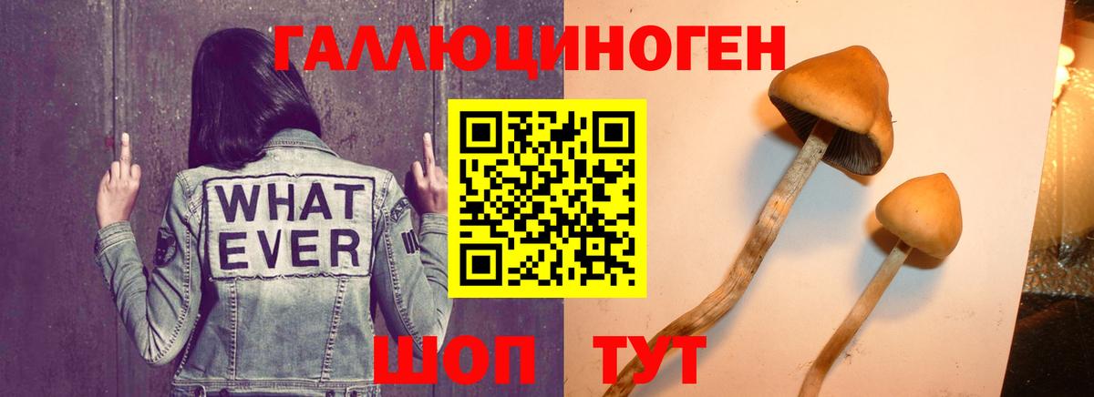 Псилоцибиновые грибы ЛСД  Галлюциногенные грибы прущие грибы  дарнет шоп  Саранск  Вход с VPN 